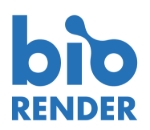Picture of BioRender Named User License Access (Expiring 1/31/2027) - WM